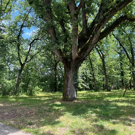 Au Calme Dans Un Bois De Chene Сasa de vacaciones